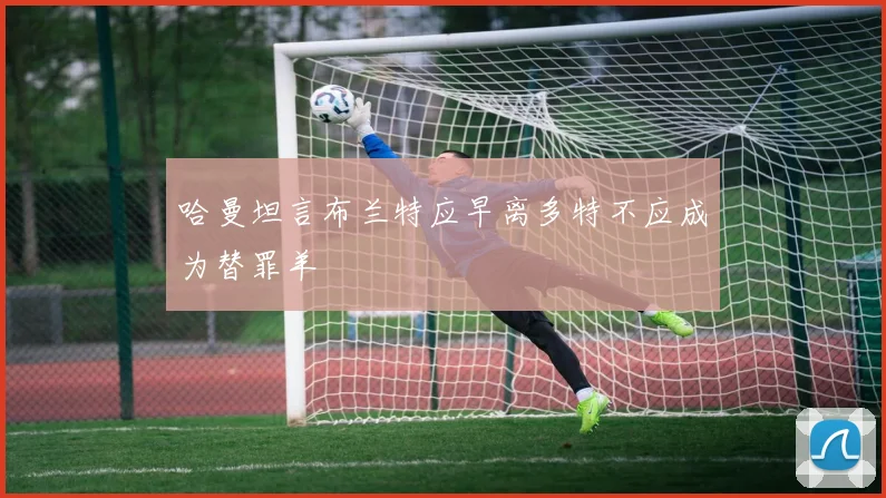 哈曼坦言布兰特应早离多特不应成为替罪羊
