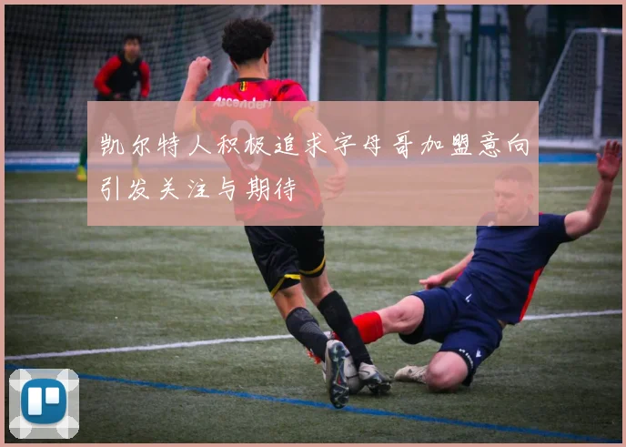 凯尔特人积极追求字母哥加盟意向引发关注与期待